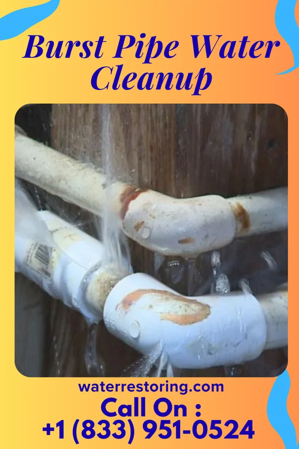 Burst Pipe Water Cleanup in Emmons, MN